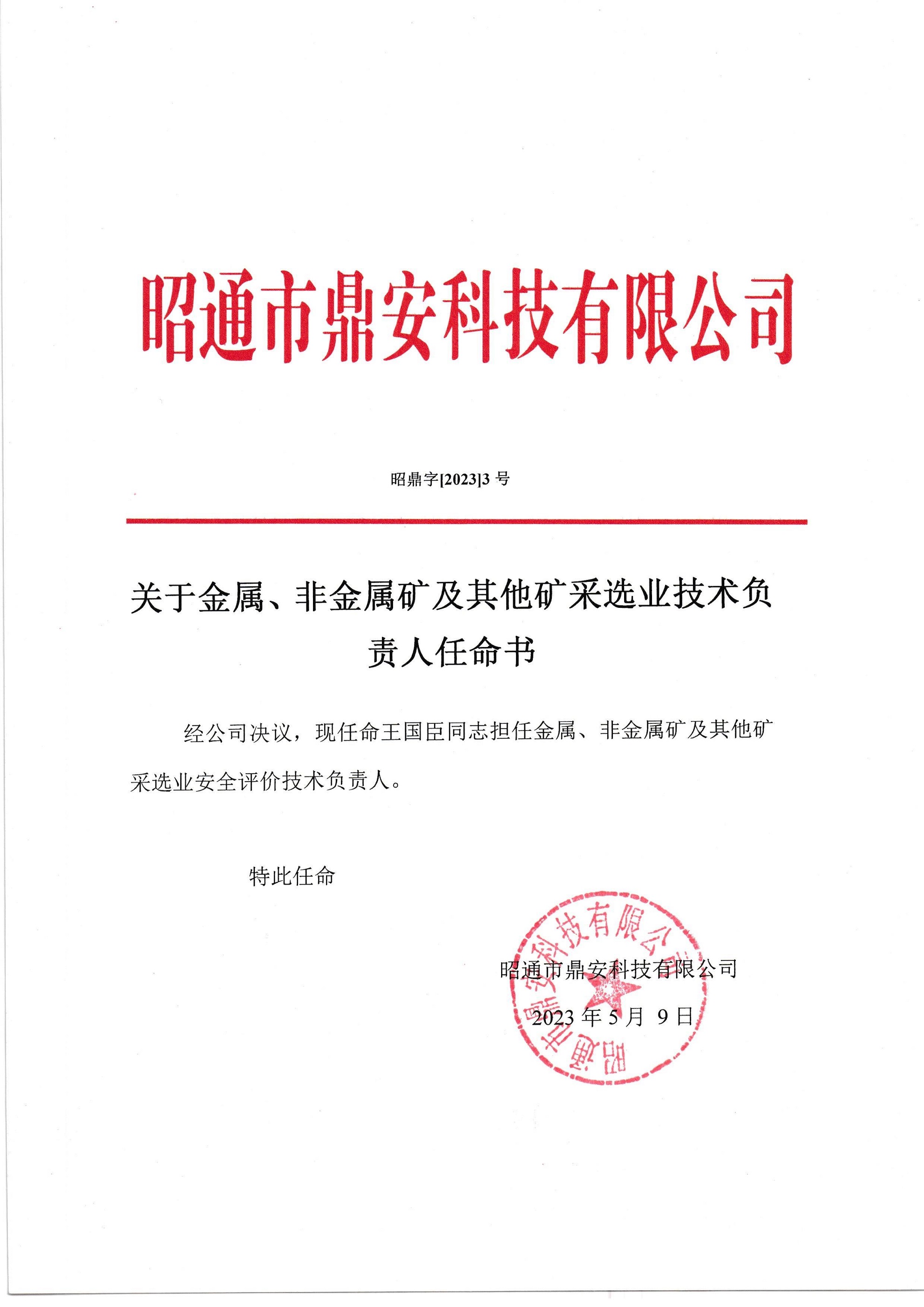 關(guān)于金屬、非金屬礦及其他礦采選業(yè)技術(shù)負(fù)責(zé)人任命書-王國(guó)臣_2.jpg